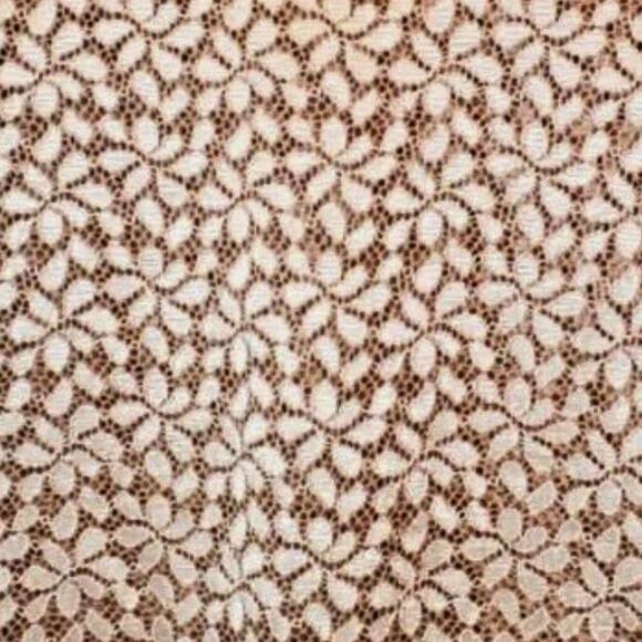 ZARA Trafaluc TRF Blouse  Rose Gold Lace Short Sleeve Top Size Small - Picture 3 of 4